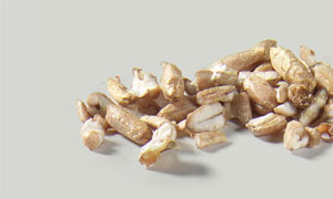 Roggengrütze, gedämpft