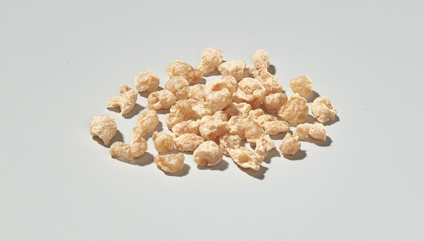 Erbsen Protein Texturat fein